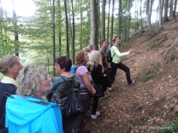 140829 Sophienhof 18