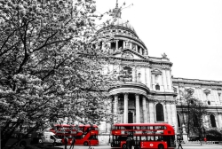 150413 England 30