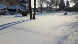 210215 Winter 42