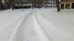 210215 Winter 53