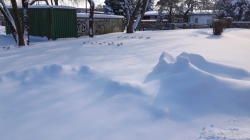 210215 Winter 46