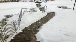 210215 Winter 52