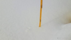 210215 Winter 63