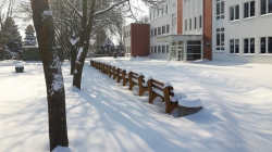 210215 Winter 41