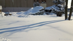 210215 Winter 43