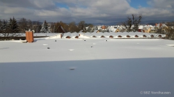 210215 Winter 68
