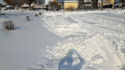 210215 Winter 50