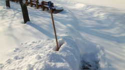 210215 Winter 45